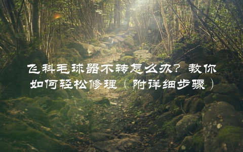 飞科毛球器不转怎么办？教你如何轻松修理（附详细步骤）
