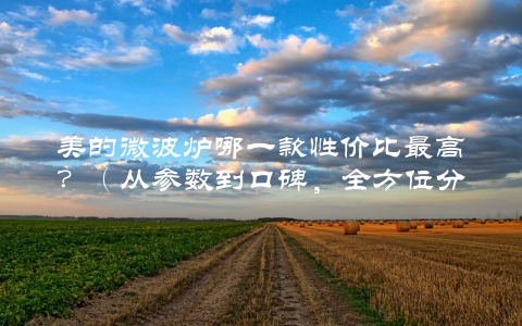 美的微波炉哪一款性价比最高？（从参数到口碑，全方位分析推荐）