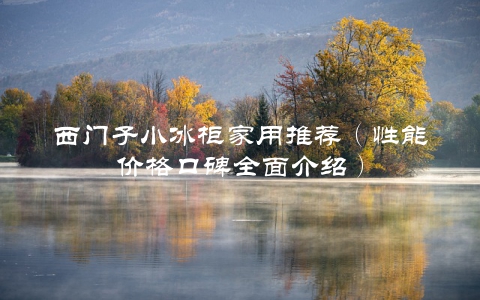 西门子小冰柜家用推荐（性能价格口碑全面介绍）