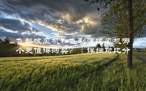 飞科吹风机和飞利浦吹风机哪个更值得购买？（详细对比分析）