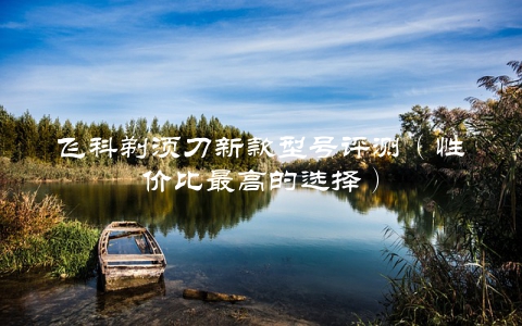 飞科剃须刀新款型号评测（性价比最高的选择）