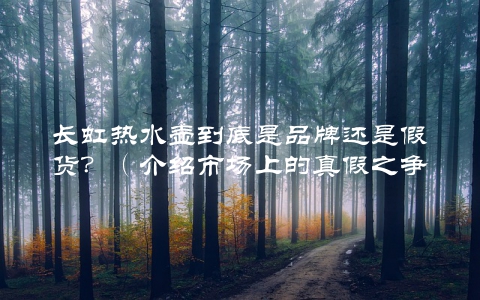 长虹热水壶到底是品牌还是假货？（介绍市场上的真假之争）