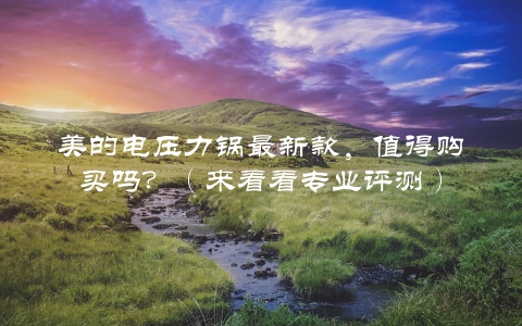 美的电压力锅最新款，值得购买吗？（来看看专业评测）