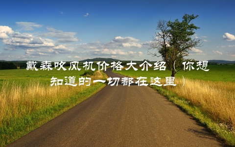 戴森吹风机价格大介绍（你想知道的一切都在这里）