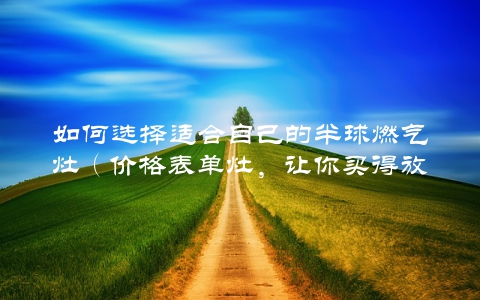 如何选择适合自己的半球燃气灶（价格表单灶，让你买得放心）