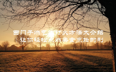 西门子燃气灶打火方法大介绍（让你轻松点燃美食烹饪的利器）