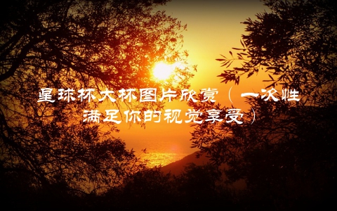星球杯大杯图片欣赏（一次性满足你的视觉享受）