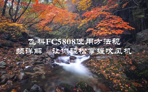 飞科FC5808使用方法视频详解（让你轻松掌握吹风机的正确使用方式）