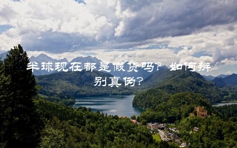 半球现在都是假货吗？如何辨别真伪？