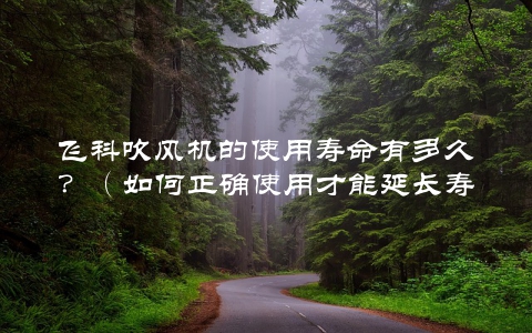 飞科吹风机的使用寿命有多久？（如何正确使用才能延长寿命）