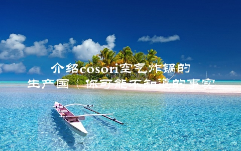 介绍cosori空气炸锅的生产国（你可能不知道的事实）
