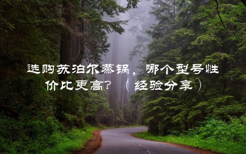 选购苏泊尔蒸锅，哪个型号性价比更高？（经验分享）