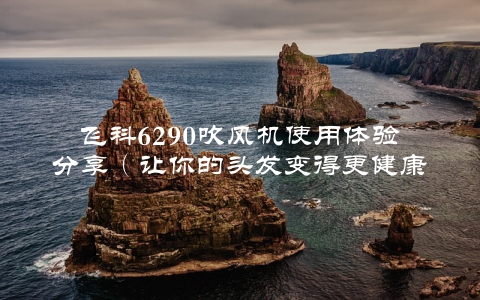飞科6290吹风机使用体验分享（让你的头发变得更健康）