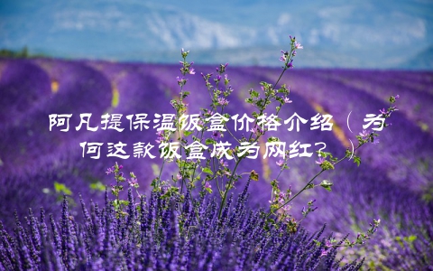 阿凡提保温饭盒价格介绍（为何这款饭盒成为网红？）