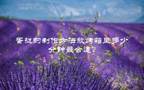 蛋挞的制作方法放烤箱里多少分钟最合适？