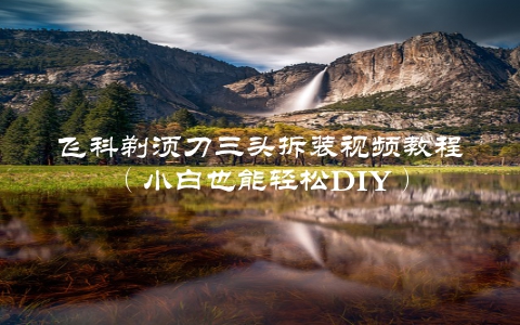 飞科剃须刀三头拆装视频教程（小白也能轻松DIY）