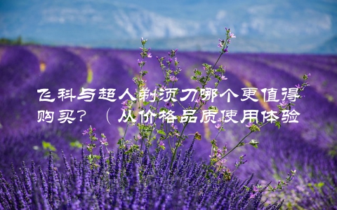 飞科与超人剃须刀哪个更值得购买？（从价格品质使用体验三方面对比评测）