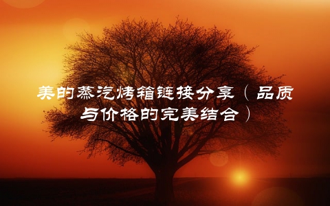 美的蒸汽烤箱链接分享（品质与价格的完美结合）