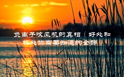 负离子吹风机的真相（好处和坏处你需要知道的全部）