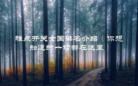雅点开关全国排名介绍（你想知道的一切都在这里）