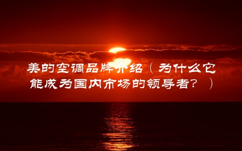 美的空调品牌介绍（为什么它能成为国内市场的领导者？）