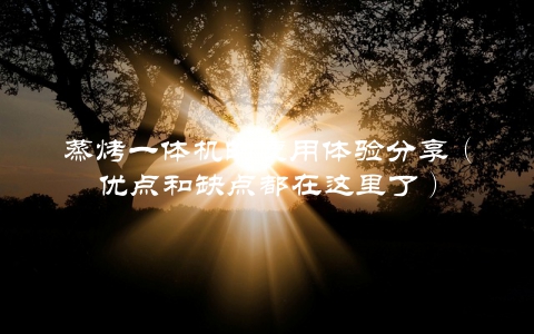 蒸烤一体机的使用体验分享（优点和缺点都在这里了）