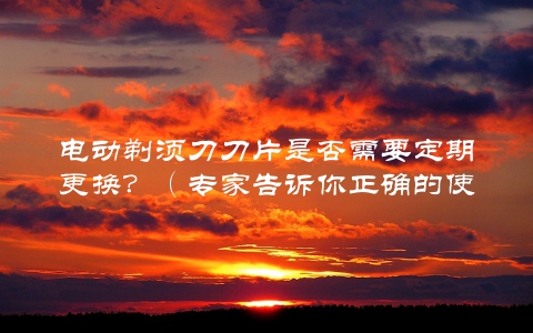 电动剃须刀刀片是否需要定期更换？（专家告诉你正确的使用方法）