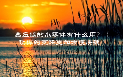 高压锅的小零件有什么用？（让你的烹饪更加方便快捷）