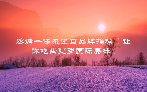 蒸烤一体机进口品牌推荐（让你吃出更多国际美味）