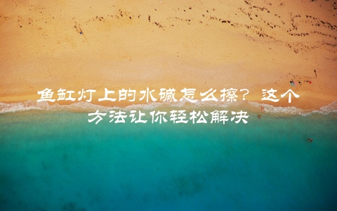 鱼缸灯上的水碱怎么擦？这个方法让你轻松解决