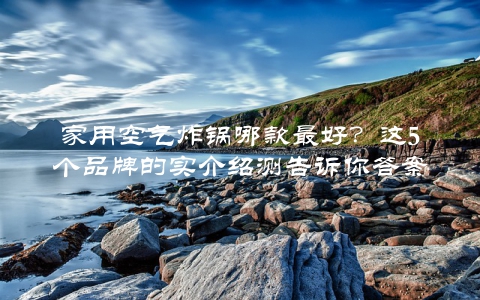 家用空气炸锅哪款最好？这5个品牌的实介绍测告诉你答案