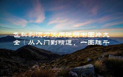 飞科剃须刀使用说明书图片大全（从入门到精通，一图胜千言）