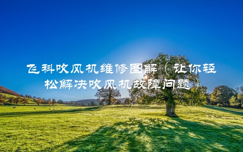 飞科吹风机维修图解（让你轻松解决吹风机故障问题）