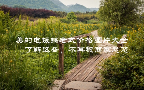 美的电饭锅老式价格图片大全（了解这些，不再被商家忽悠）