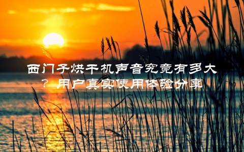 西门子烘干机声音究竟有多大？用户真实使用体验分享