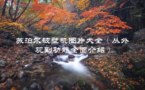 苏泊尔破壁机图片大全（从外观到功能全面介绍）