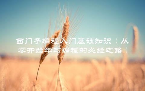西门子编程入门基础知识（从零开始学习编程的必经之路）