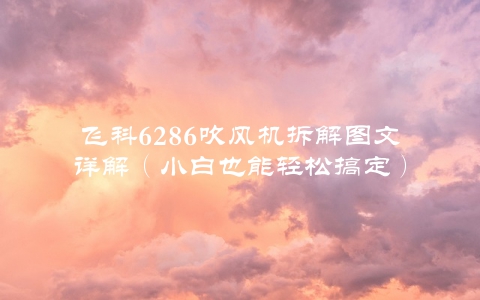 飞科6286吹风机拆解图文详解（小白也能轻松搞定）