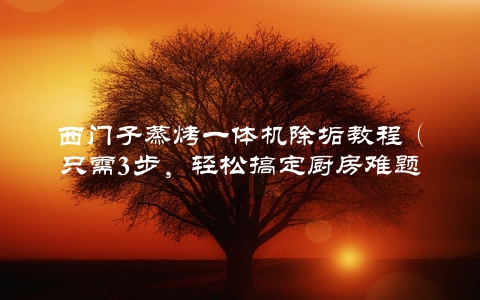 西门子蒸烤一体机除垢教程（只需3步，轻松搞定厨房难题）