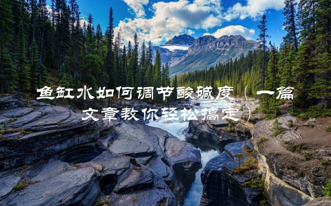 鱼缸水如何调节酸碱度（一篇文章教你轻松搞定）