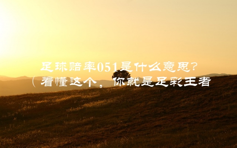 足球赔率051是什么意思？（看懂这个，你就是足彩王者）