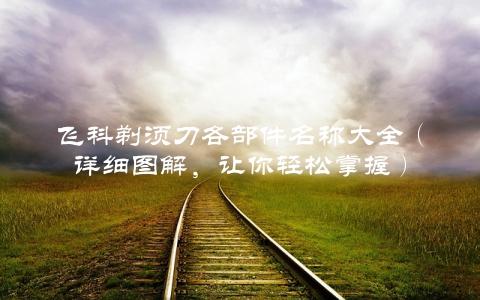 飞科剃须刀各部件名称大全（详细图解，让你轻松掌握）