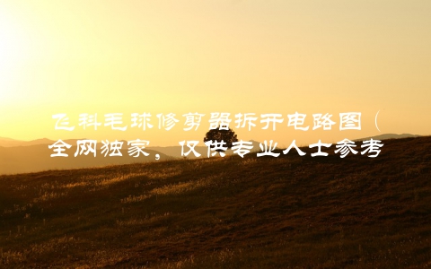 飞科毛球修剪器拆开电路图（全网独家，仅供专业人士参考）