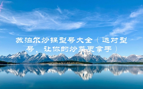 苏泊尔炒锅型号大全（选对型号，让你的炒菜更拿手）