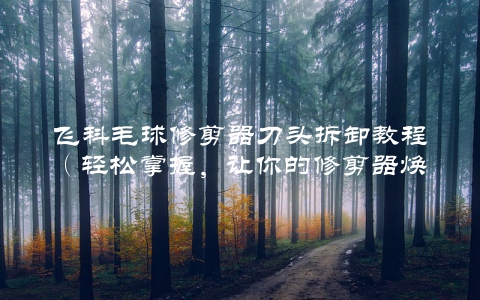 飞科毛球修剪器刀头拆卸教程（轻松掌握，让你的修剪器焕然一新）