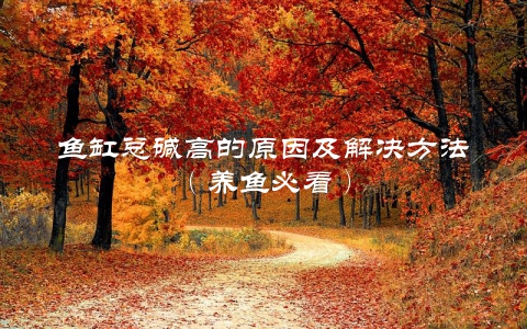鱼缸总碱高的原因及解决方法（养鱼必看）