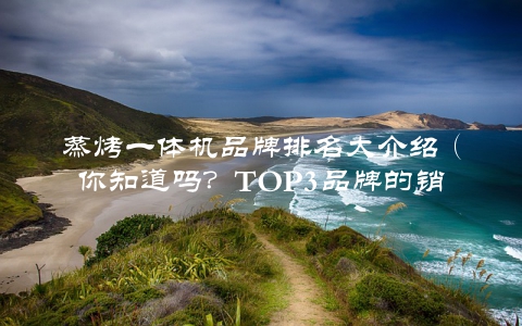 蒸烤一体机品牌排名大介绍（你知道吗？TOP3品牌的销量已经超过了其他7个品牌