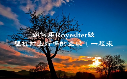 如何用Royeslter破壁机打出好喝的豆浆（一起来学习制作方法）