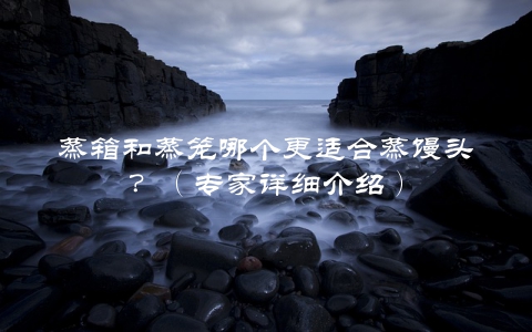 蒸箱和蒸笼哪个更适合蒸馒头？（专家详细介绍）