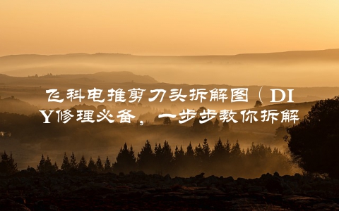 飞科电推剪刀头拆解图（DIY修理必备，一步步教你拆解）